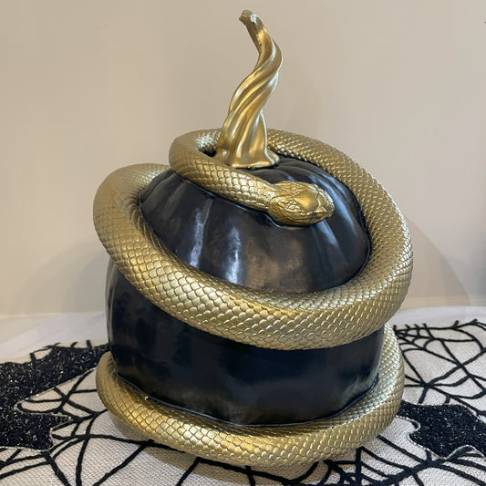 Black Pumpkin with Golden Snake