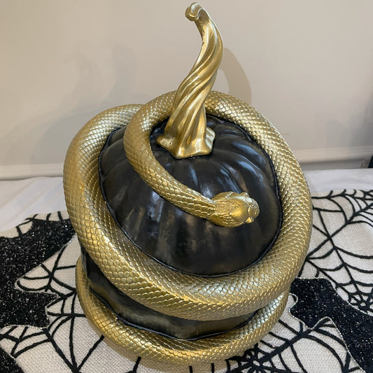 Black Pumpkin with Golden Snake