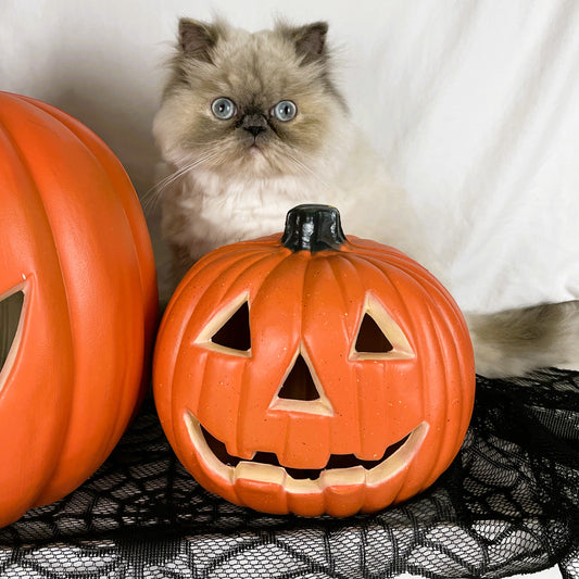 Small Size Pumpkin Lantern - 18cm x 20cm